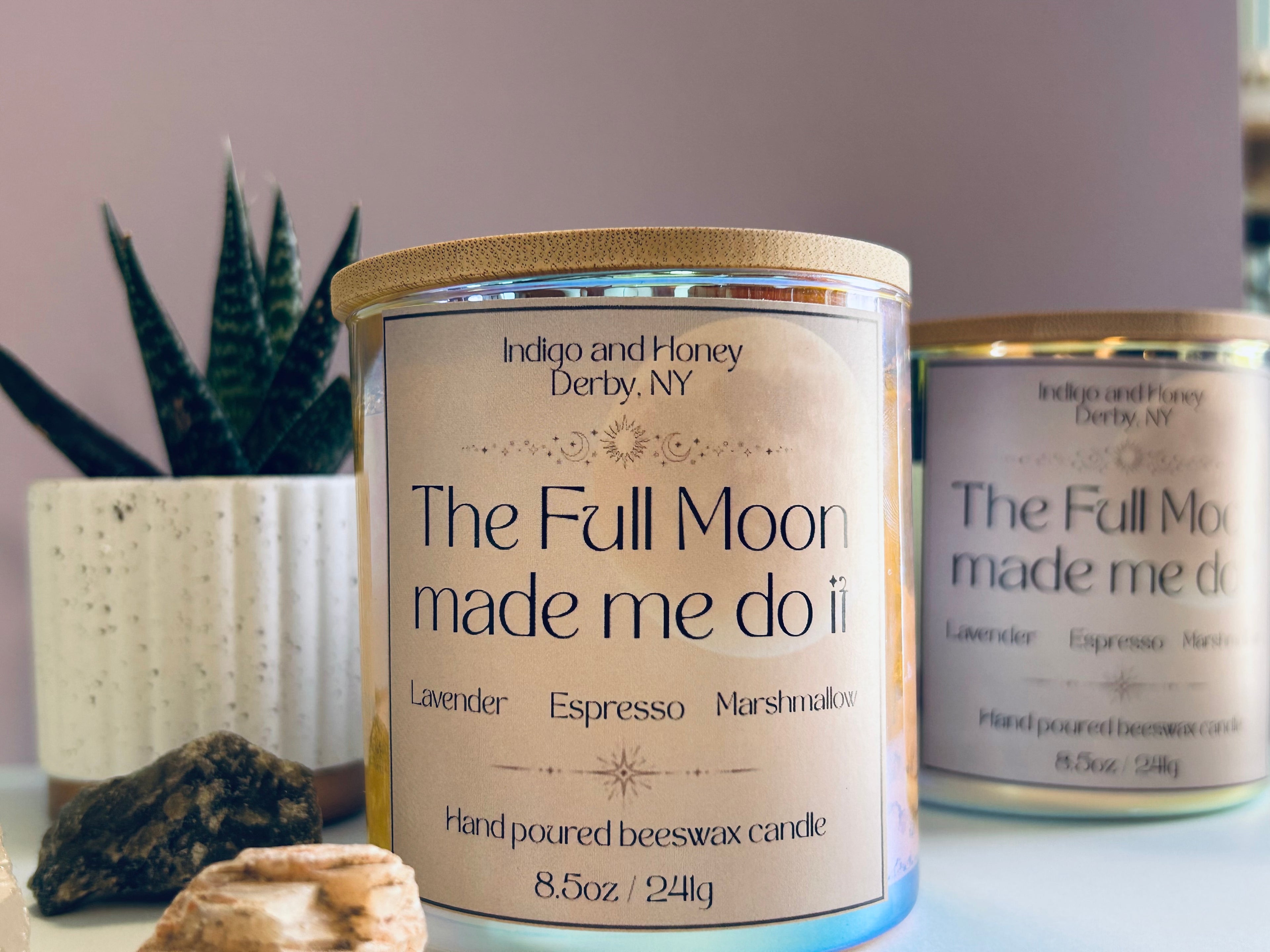 The Full Moon made me do it